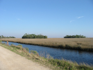 hickoryimpoundment